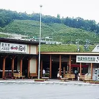 道の駅　桜の郷荘川の写真・動画_image_326580