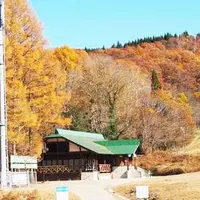 飛騨荘川 一色の森キャンプ場の写真・動画_image_326586