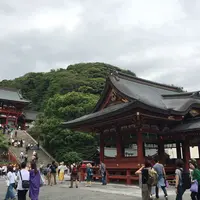 鶴岡八幡宮の写真・動画_image_326599