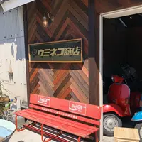 ウミネコ商店の写真・動画_image_327374