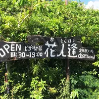 花人逢の写真・動画_image_327882