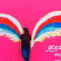 民謡居酒屋ちゃんぷるーの写真・動画_image_327927