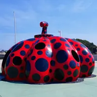 赤かぼちゃの写真・動画_image_327988