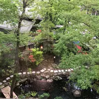 伊香保温泉旅館 如心の里 ひびき野の写真・動画_image_328633