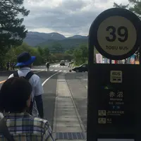 赤沼茶屋の写真・動画_image_328802