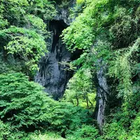 羅生門の写真・動画_image_328838