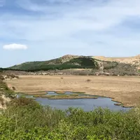 八島ヶ原湿原の写真・動画_image_328851