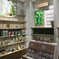 innisfree 明洞１号店の写真・動画_image_329038