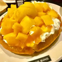 beans bins coffeeの写真・動画_image_329254