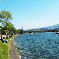 大濠公園の写真・動画_image_329679