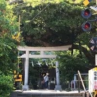 御霊神社の写真・動画_image_329934