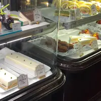 しろたえの写真・動画_image_330548