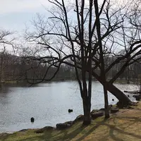 鳥沼公園の写真・動画_image_330555