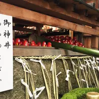 市比賣神社の写真・動画_image_331018