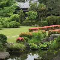 題経寺（柴又帝釈天）の写真・動画_image_331501