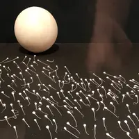 国立科学博物館の写真・動画_image_331794