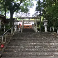 掛川神社の写真・動画_image_331848