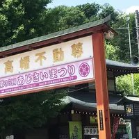 金剛寺（高幡不動尊）の写真・動画_image_331989