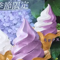 不動せんべい開運堂の写真・動画_image_331991