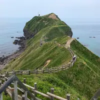 神威岬の写真・動画_image_332200