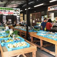 道の駅 阿蘇の写真・動画_image_332241