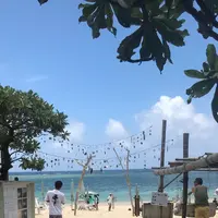 新城海岸の写真・動画_image_332317
