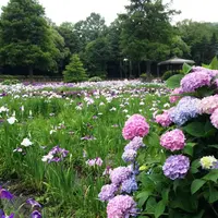 春日池公園の写真・動画_image_332398