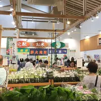 鹿本農協鹿央地区ファーマーズマーケット夢大地館の写真・動画_image_332413