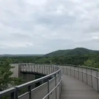 別所岳SAの写真・動画_image_332697
