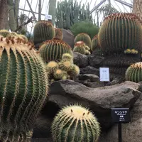 伊豆シャボテン動物公園の写真・動画_image_333178