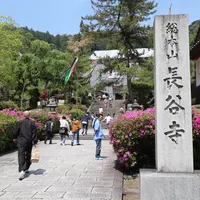 長谷寺の写真・動画_image_333328