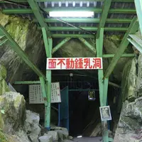 面不動鍾乳洞の写真・動画_image_333357