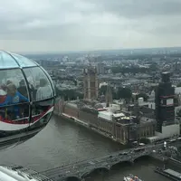 ロンドン・アイの写真・動画_image_338348