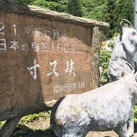 寸又峡の写真・動画_image_339085