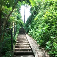 仙水の写真・動画_image_339552