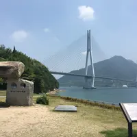 大三島の写真・動画_image_339563