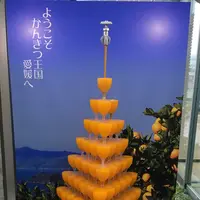 松山空港の写真・動画_image_339582