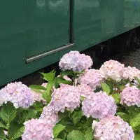 鎌倉駅の写真・動画_image_339650