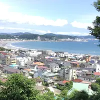 長谷寺の写真・動画_image_339651