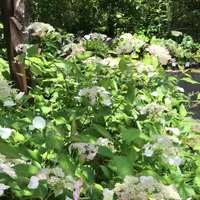 光則寺の写真・動画_image_339655
