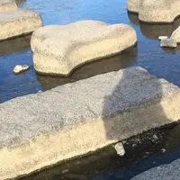 鴨川デルタの写真・動画_image_339691