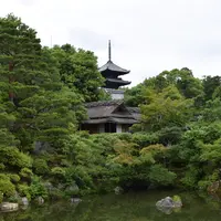 仁和寺の写真・動画_image_339703