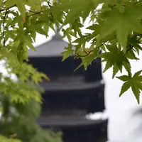 東寺（教王護国寺）の写真・動画_image_339710