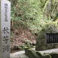 秋芳洞の写真・動画_image_339772