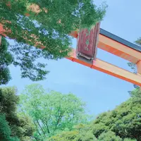 川越氷川神社の写真・動画_image_341120