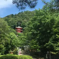金華山の写真・動画_image_341897