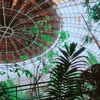 草津熱帯圏の写真・動画_image_341932