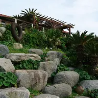 Bakery Restaurant CURRENT （カレント）の写真・動画_image_342410