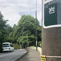 飯能市指定天然記念物の写真・動画_image_343071