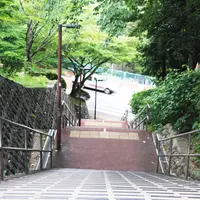 いろは坂の写真・動画_image_343277
